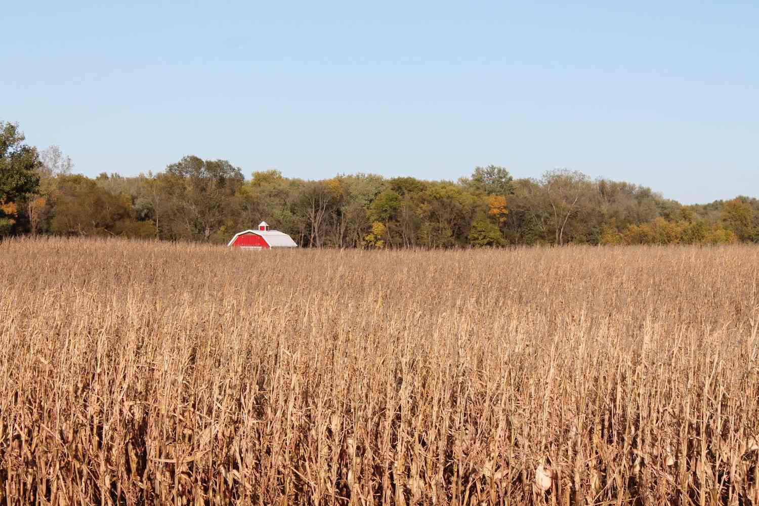 What Are Five Ways ChatGTP Will Revolutionize Agriculture in the U.S.?